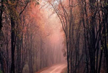 亚星官网：CBA：山东高速男篮客场80-98山西队 三连胜遭终结.