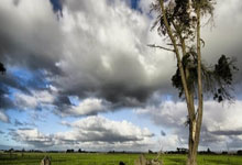 亚星官网：辽宁阜新开展体质监测公益活动——开具运动处方 倡导健康生活人民日报.