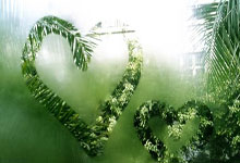 亚星官网：3月28日，广东男篮传来杜锋，徐杰采访，吉仑沃特训练的消息.